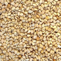 Sesame seeds